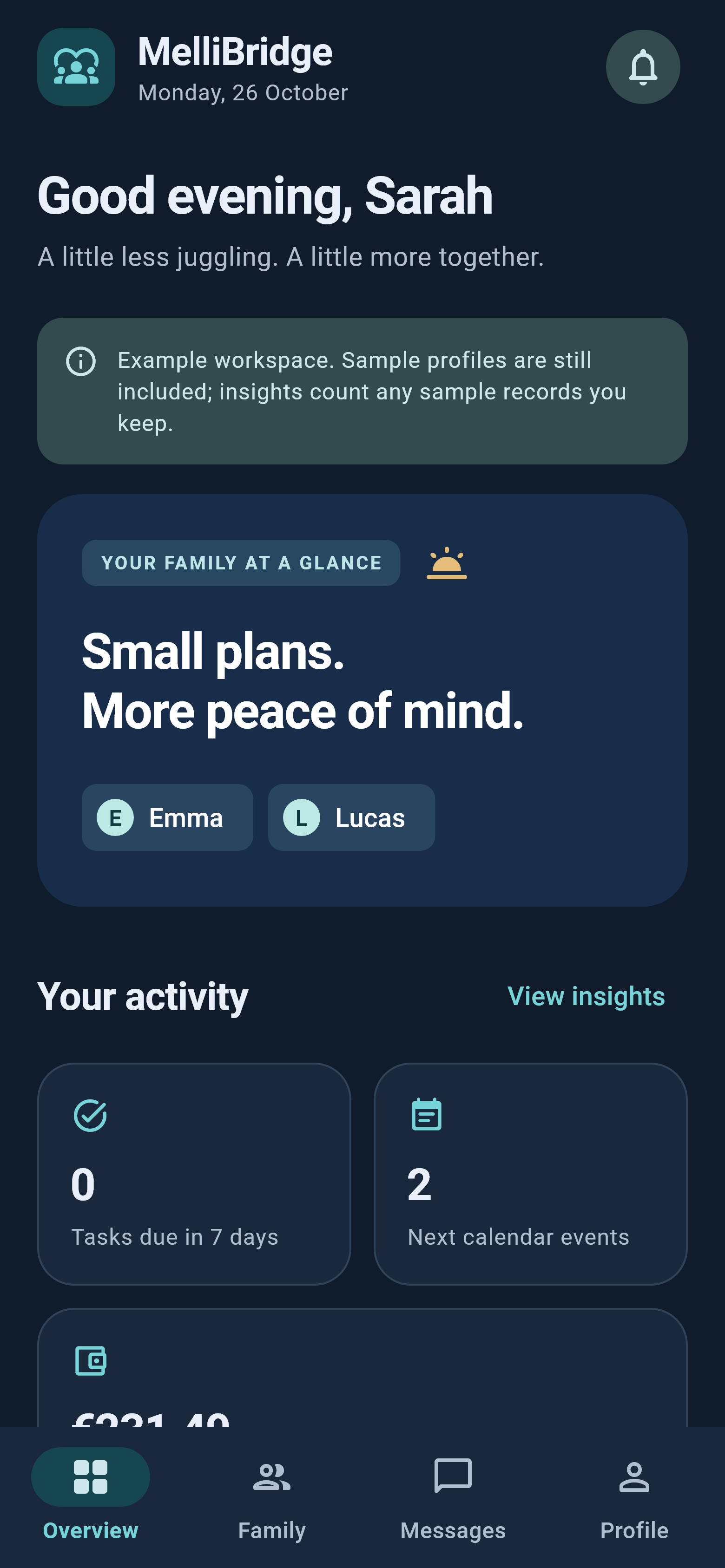 MelliBridge — Product preview · illustrative content